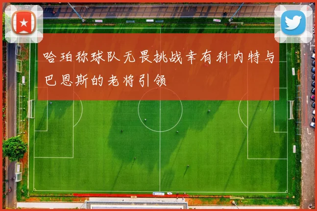 哈珀称球队无畏挑战幸有科内特与巴恩斯的老将引领