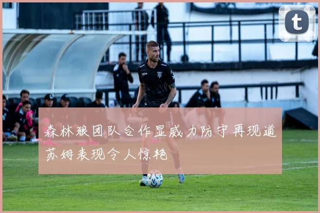 森林狼团队合作显威力防守再现道苏姆表现令人惊艳